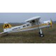 RC Nitro Plane